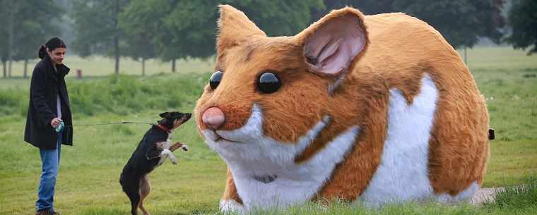 Giant hamster with dog