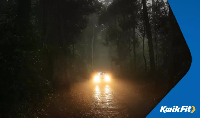 A car drives through thick forest with heavy fog  its foglights are on to aid with visibility.