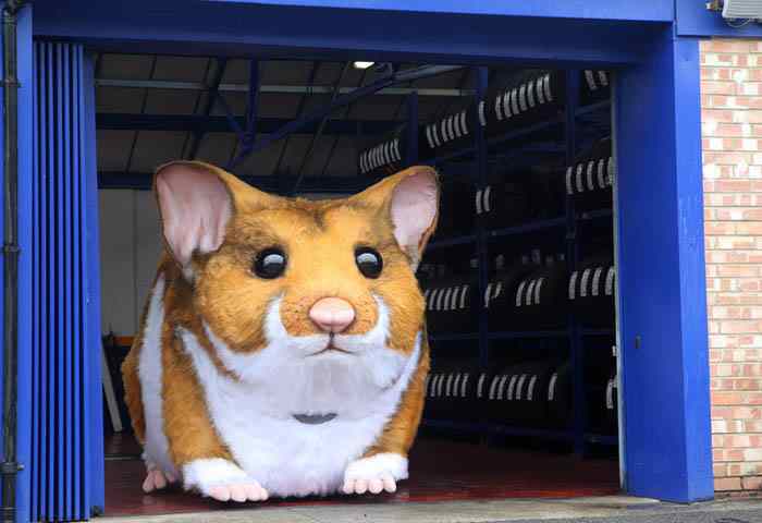 Giant hamster in Kwik Fit