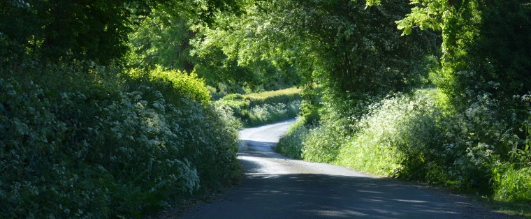A narrow countryside road